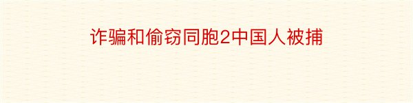 诈骗和偷窃同胞2中国人被捕