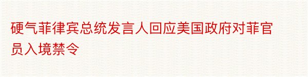 硬气菲律宾总统发言人回应美国政府对菲官员入境禁令