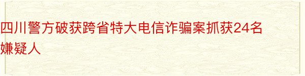 四川警方破获跨省特大电信诈骗案抓获24名嫌疑人