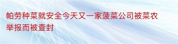 帕劳种菜就安全今天又一家菠菜公司被菜农举报而被查封