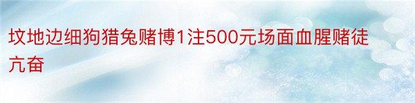 坟地边细狗猎兔赌博1注500元场面血腥赌徒亢奋