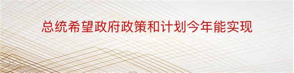 总统希望政府政策和计划今年能实现