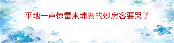 平地一声惊雷柬埔寨的炒房客要哭了