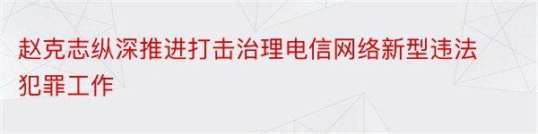 赵克志纵深推进打击治理电信网络新型违法犯罪工作