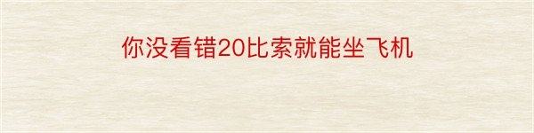 你没看错20比索就能坐飞机