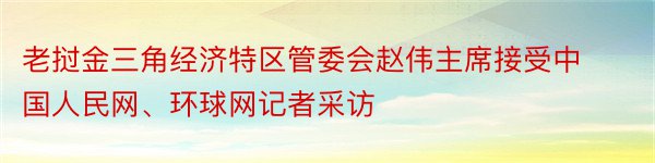 老挝金三角经济特区管委会赵伟主席接受中国人民网、环球网记者采访