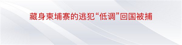 藏身柬埔寨的逃犯“低调”回国被捕