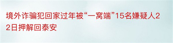 境外诈骗犯回家过年被“一窝端”15名嫌疑人22日押解回泰安