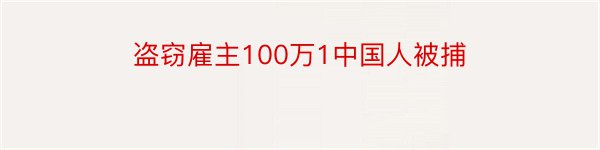 盗窃雇主100万1中国人被捕