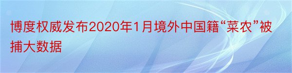 博度权威发布2020年1月境外中国籍“菜农”被捕大数据