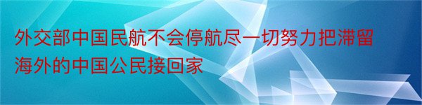 外交部中国民航不会停航尽一切努力把滞留海外的中国公民接回家