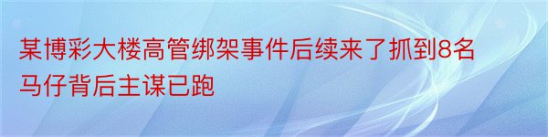 某博彩大楼高管绑架事件后续来了抓到8名马仔背后主谋已跑