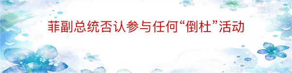 菲副总统否认参与任何“倒杜”活动