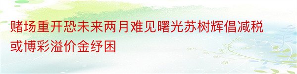 赌场重开恐未来两月难见曙光苏树辉倡减税或博彩溢价金纾困