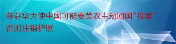 菲驻华大使中国可能要菜农主动回国“投案”否则注销护照