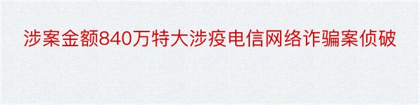 涉案金额840万特大涉疫电信网络诈骗案侦破