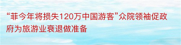 “菲今年将损失120万中国游客”众院领袖促政府为旅游业衰退做准备