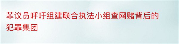 菲议员呼吁组建联合执法小组查网赌背后的犯罪集团