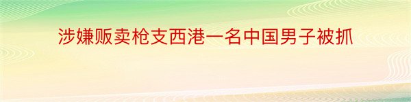 涉嫌贩卖枪支西港一名中国男子被抓