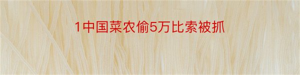 1中国菜农偷5万比索被抓