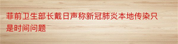 菲前卫生部长戴日声称新冠肺炎本地传染只是时间问题