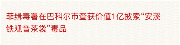 菲缉毒署在巴科尔市查获价值1亿披索“安溪铁观音茶袋”毒品