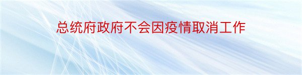 总统府政府不会因疫情取消工作