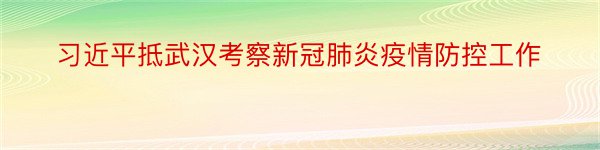 习近平抵武汉考察新冠肺炎疫情防控工作