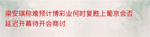 梁安琪称难预计博彩业何时复甦上葡京会否延迟开幕待开会商讨