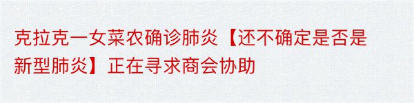 克拉克一女菜农确诊肺炎【还不确定是否是新型肺炎】正在寻求商会协助