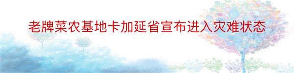 老牌菜农基地卡加延省宣布进入灾难状态