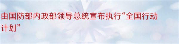 由国防部内政部领导总统宣布执行“全国行动计划”