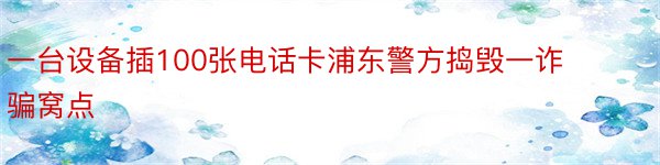 一台设备插100张电话卡浦东警方捣毁一诈骗窝点