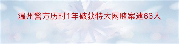 温州警方历时1年破获特大网赌案逮66人