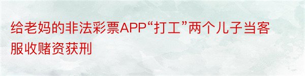 给老妈的非法彩票APP“打工”两个儿子当客服收赌资获刑