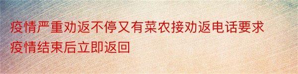 疫情严重劝返不停又有菜农接劝返电话要求疫情结束后立即返回