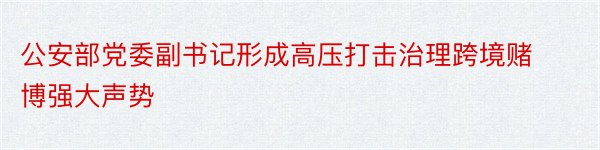 公安部党委副书记形成高压打击治理跨境赌博强大声势