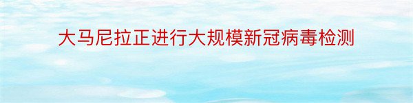 大马尼拉正进行大规模新冠病毒检测