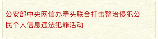 公安部中央网信办牵头联合打击整治侵犯公民个人信息违法犯罪活动