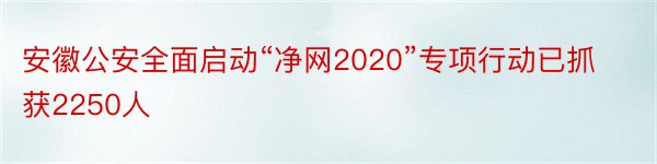 安徽公安全面启动“净网2020”专项行动已抓获2250人