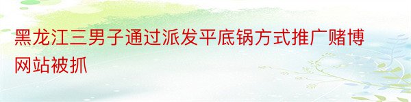 黑龙江三男子通过派发平底锅方式推广赌博网站被抓