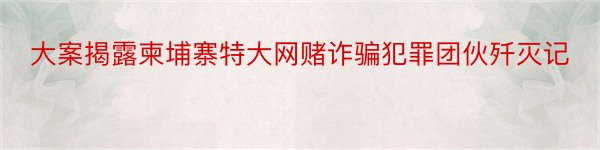 大案揭露柬埔寨特大网赌诈骗犯罪团伙歼灭记