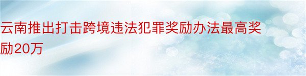 云南推出打击跨境违法犯罪奖励办法最高奖励20万