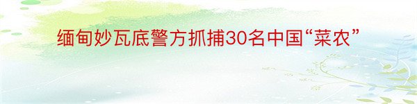 缅甸妙瓦底警方抓捕30名中国“菜农”