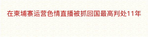 在柬埔寨运营色情直播被抓回国最高判处11年