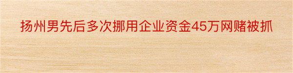 扬州男先后多次挪用企业资金45万网赌被抓