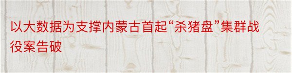 以大数据为支撑内蒙古首起“杀猪盘”集群战役案告破