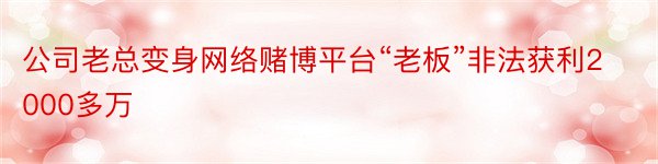 公司老总变身网络赌博平台“老板”非法获利2000多万