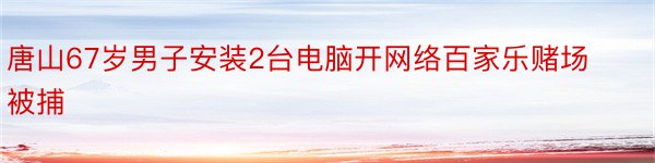 唐山67岁男子安装2台电脑开网络百家乐赌场被捕