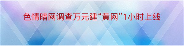 色情暗网调查万元建“黄网”1小时上线